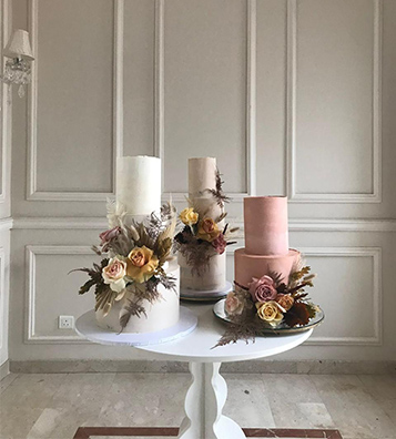 Color Theory and Design Principles